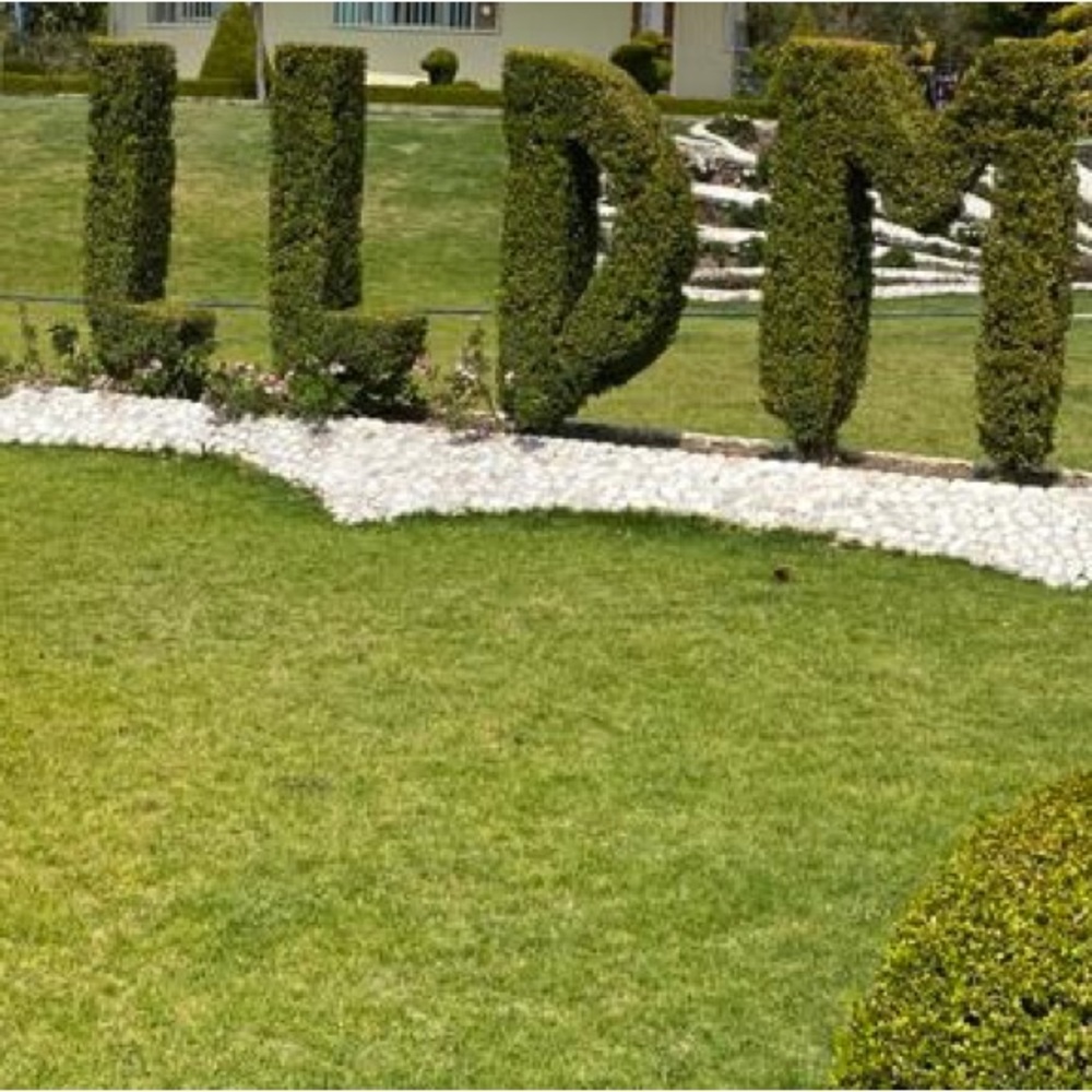 Meet your Posher, Melba